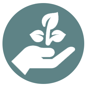 Respect et préservation de l'environnement et de la biodiversité