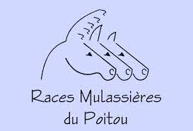 association des races mulassières du Poitou